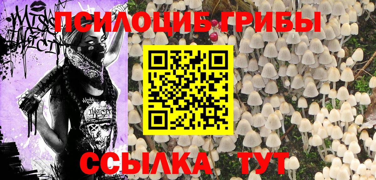 как найти наркотики  Вход с VPN  Галлюциногенные грибы Magic Shrooms  Владимир  Галлюциногенные грибы мицелий 