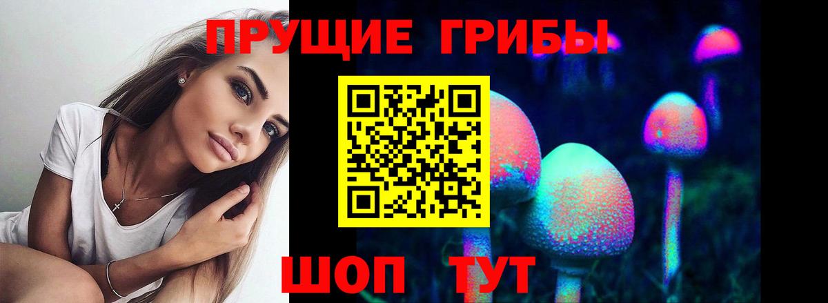 Псилоцибиновые грибы прущие грибы Владимир